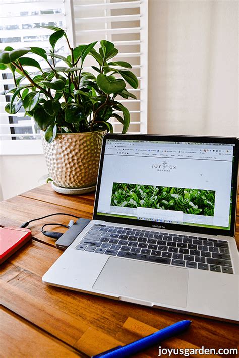 How To Decorate Office Desk With Plants - If you adorn your desk to give off negative emotions ...