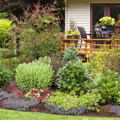 11 Sample Deck Privacy Plants Simple Ideas | Home decorating Ideas