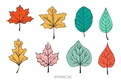 30+ Simple Leaf Drawing Ideas - How To Draw Leaf? - HARUNMUDAK