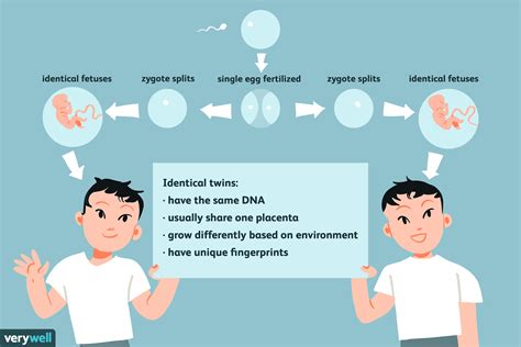 Do Identical Twins Have the Same DNA?