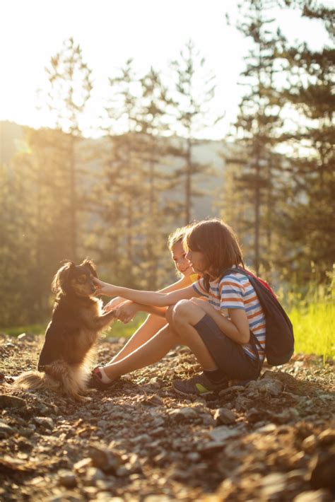 Best Dogs For Hiking and Camping - The Dog Names Collection