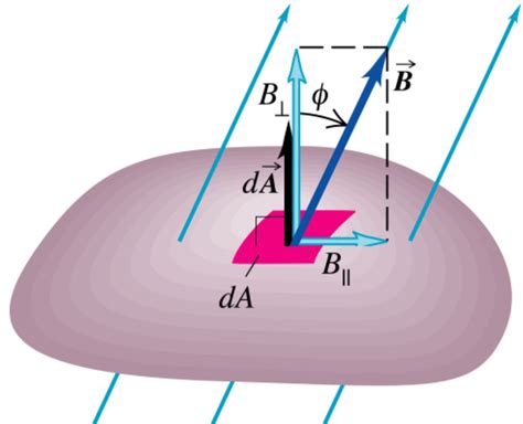 [Physics] How to magnetic flux be a scalar but magnetic flux density is a vector – Math Solves ...