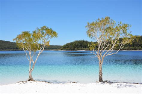 Lake McKenzie - Byron Visitor Centre