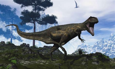 Just How Big Was Giganotosaurus? Was It a T-rex Killer? - A-Z Animals