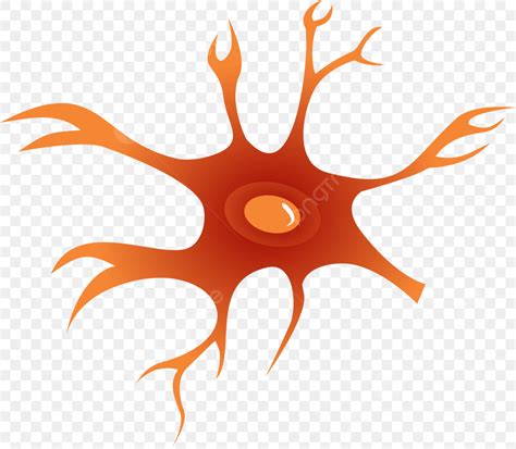 Neuron Symbol Png, Vektoren, Clipart und PSD zum kostenlosen Download | Pngtree