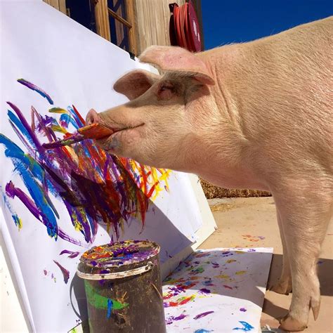 Meet Pigcasso, the Painting Pig Whose Artworks Sell for Thousands of Dollars