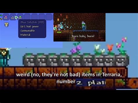 Item Frame Terraria | Webframes.org