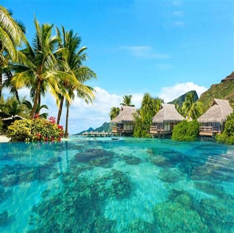 3d maldives island beach scene custom wallpaper mural – Artofit