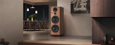 The Complete Speaker’s Guide – Speaker Q&A – HiFiReport