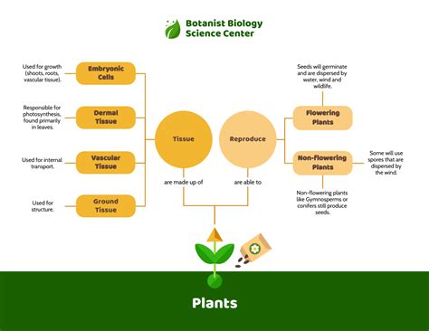 Template Definition Biology