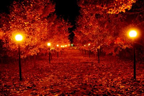 Autumn Night Wallpapers - Wallpaper Cave