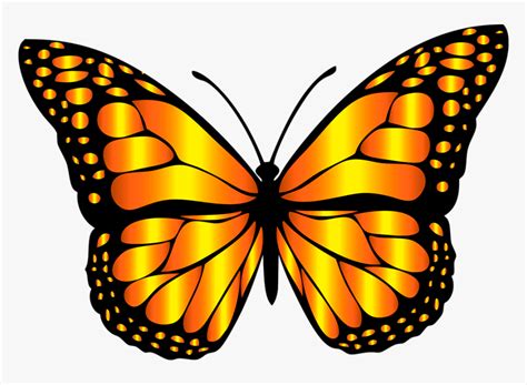 Orange Butterfly Clip Art, HD Png Download - kindpng