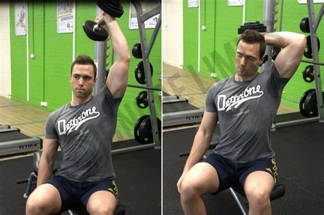 How to Do the Overhead Triceps Extension: Benefits, Form, & Alternatives | Legion