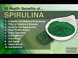 8 Benefits Of Spirulina & Chlorella - The Wellness Project