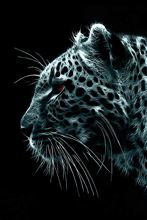 🔥 [130+] Black Cheetah Wallpapers | WallpaperSafari