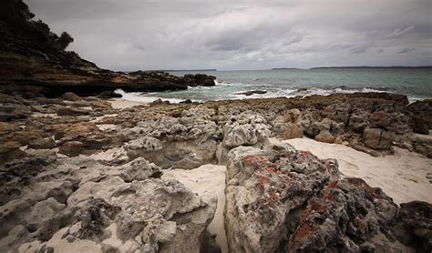 Jervis Bay National Park | Learn more | NSW National Parks