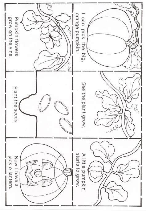 Pumpkin Life Cycle Coloring Sequence Coloring Pages