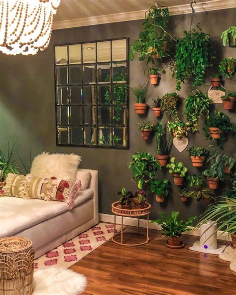 30+ Hanging Plants Indoor Living Room – DECOOMO