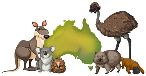 Wild animals in Australia 372348 Vector Art at Vecteezy