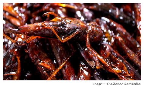 Top 10 Weirdest Food in Asia - Ramble and Wander