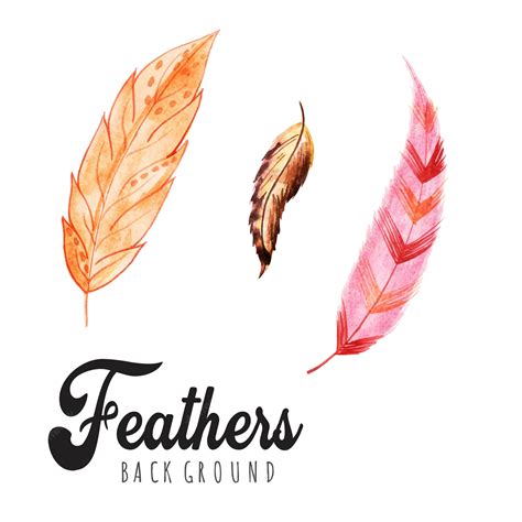 Premium Vector | Watercolor feathers backgrounds