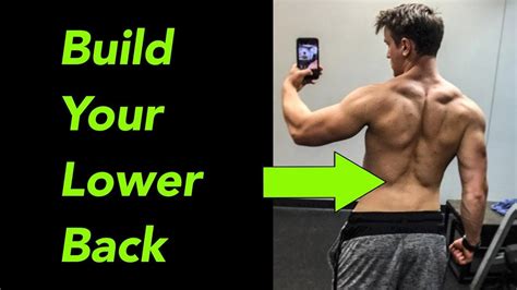 Top 5 Exercises for Lower Back (At Gym AND HOME) - YouTube