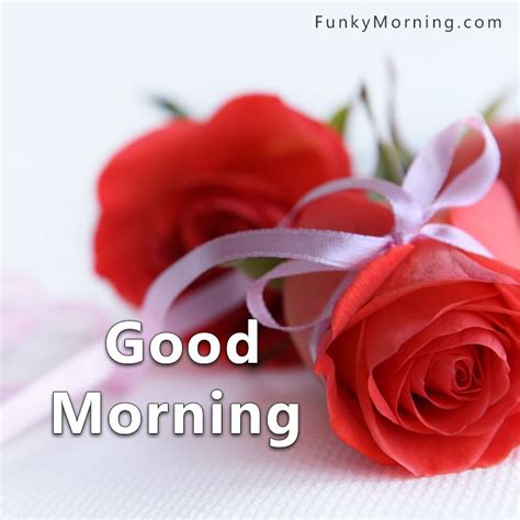 318+ Best Good Morning Rose Images | Gulab Rose Good Morning Pics