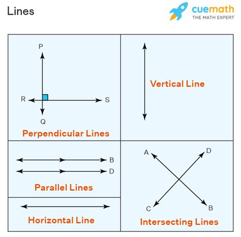 Segment Bisector - Definition, Types, Perpendicular Bisector, Examples