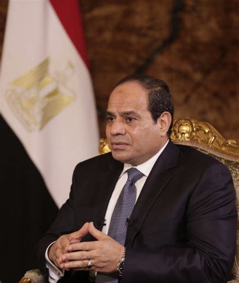 AP Interview: El-Sissi ready to back anti-Islamic State fight | Nation World | thesunchronicle.com