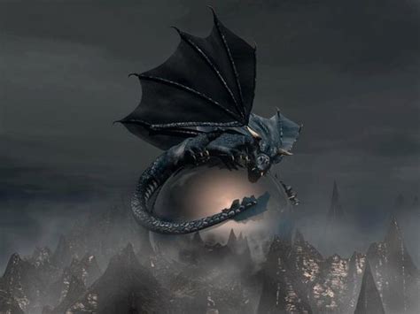 Dark Dragons