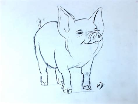 How To Draw A Realistic Pig Step By Step