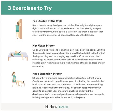 The Best Exercises For Seniors In 2024 – Forbes Health