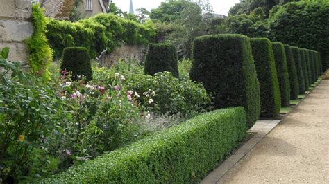 Worcester College Gardeners: Yew Hedges, Yew Columns And A Box Hedge