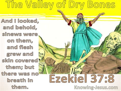 Ezekiel 37:8 The Valley Of Dry Bones (yellow)