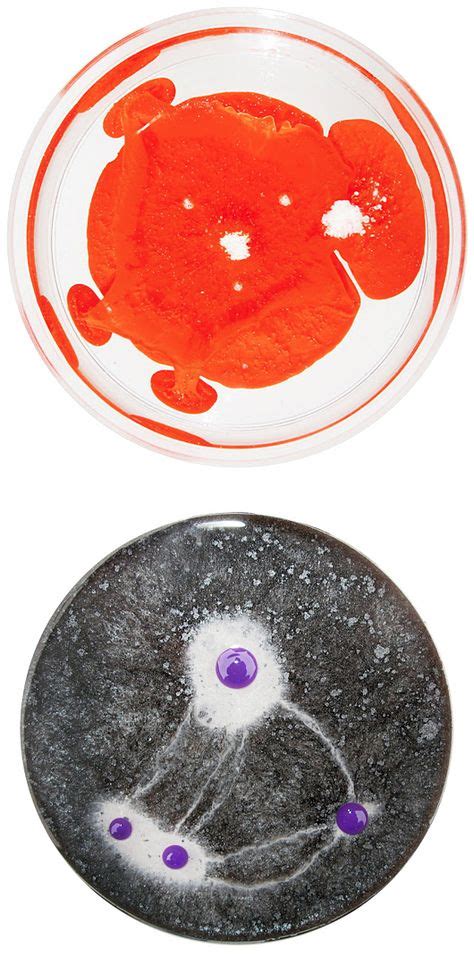 Petri Dish Art | Center for Microbiome Sciences's collection of 20+ petri dish ideas