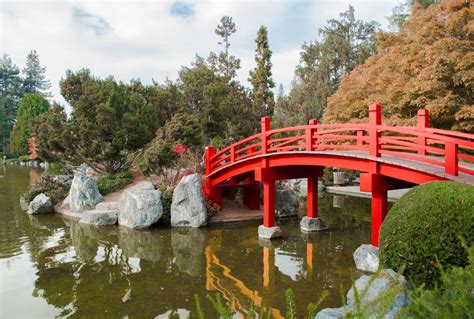 Free stock photo of bridge, japanese garden, red