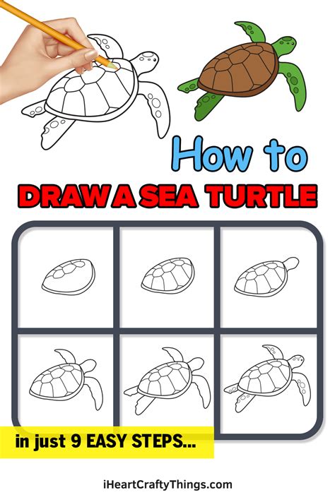 How To Draw A Hawaiian Turtle Step By Step