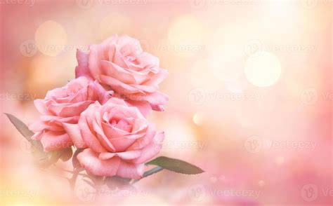 Pink Rose flowers on bokeh light glitter background for love wedding and valentines day with ...