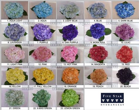 Hydrangea Color Chart Hydrangea Seeds, Hydrangea Colors, Hydrangea Flower, Hydrangeas, Budget ...