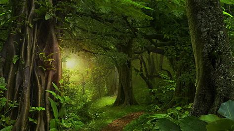 HD wallpaper: vegetation, forest, nature, green forest, woodland, forest path | Wallpaper Flare