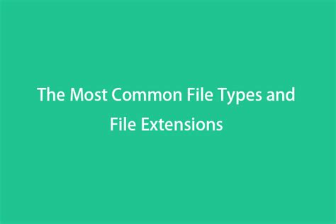 The Most Common File Types and File Extensions