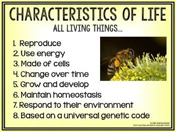 Characteristics of Life Poster by Science Lessons That Rock | TpT