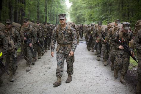 Marines will now wear woodland green camouflage uniforms all year