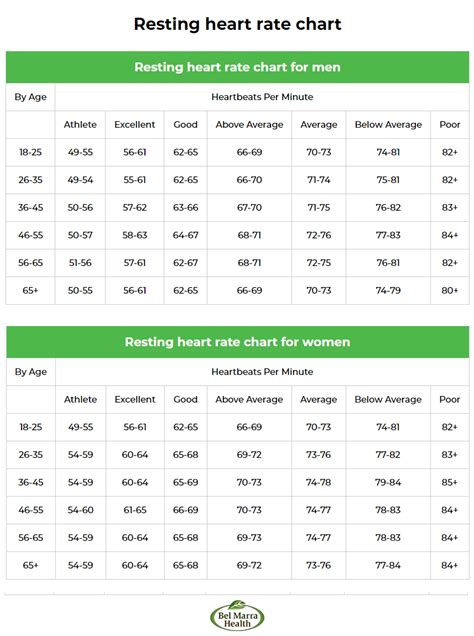 Heart Rate And Exercise Chart