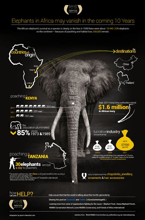 23 Intriguing African Elephant Population Statistics - BrandonGaille.com