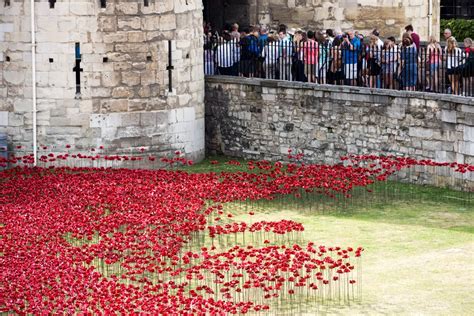 For WWI Anniversary, the Tower of London Has Become Surrounded by a Sea of Poppies | Smithsonian