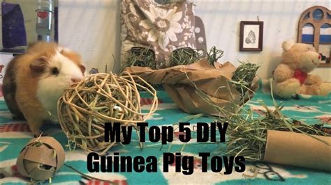 Homemade Guinea Pig Chew Toys | Wow Blog