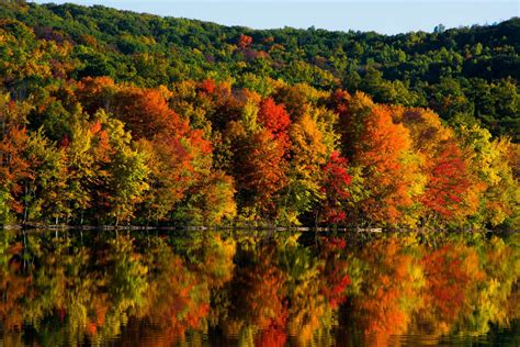 New England Fall Foliage Peak 2024 - Celie Mercedes