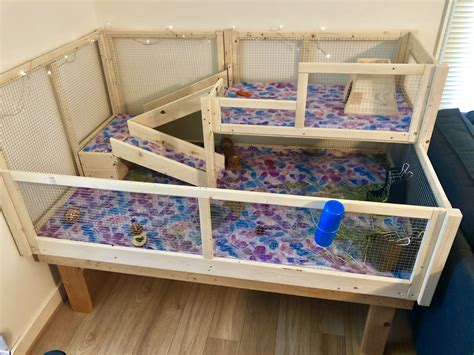 Homemade Guinea pig cage | Diy guinea pig cage, Guinea pig diy, Guinea pig cage