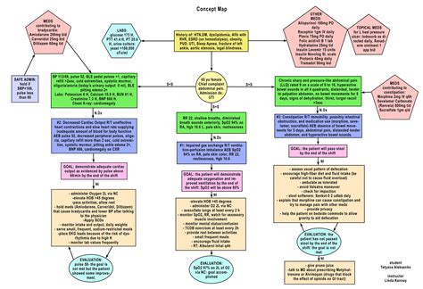 Nursing Concept Map Templates